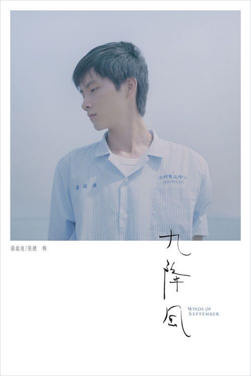 输入不动产证书号查询不到信息